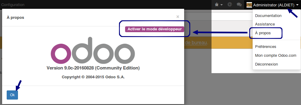 Odoo Activer Mode Developpeur